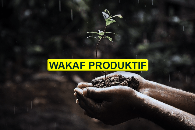 Ekspansi Wakaf Produktif  - Ilustrasi Wakaf Produktif - Ekspansi Wakaf Produktif