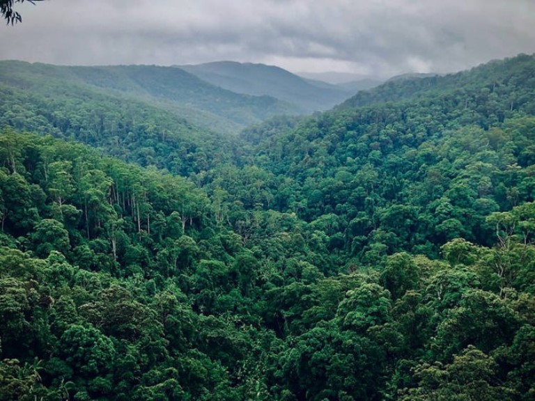 Wakaf Hijau untuk Pelestarian Lingkungan  - Hutan Wakaf - Wakaf Hijau untuk Pelestarian Lingkungan