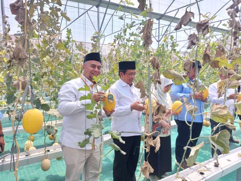 Dede Haris Ketua Divisi PPN BWI , Panen Melon Wakaf Produktif